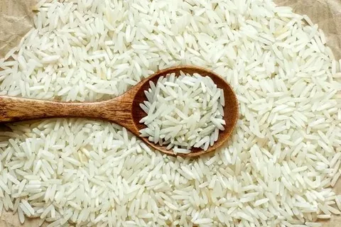تصویر 3 از خرید و فروش برنج عنبر بو دستچین با شرایط فوق العاده